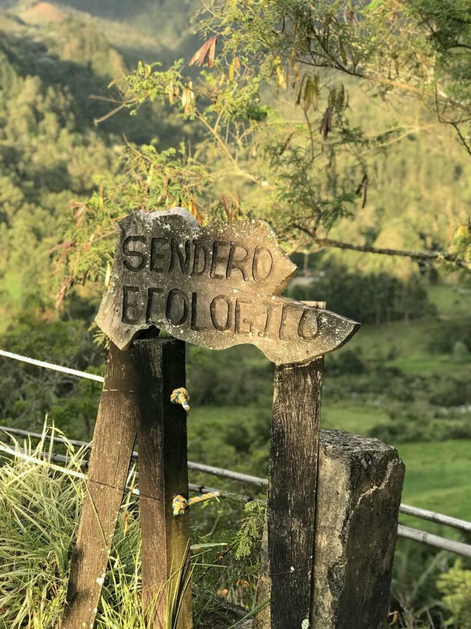 Salento Finca Hotel Mundo Nuevo Buitenkant foto