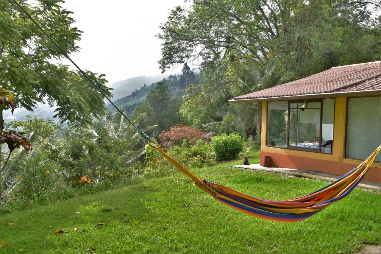 Salento Finca Hotel Mundo Nuevo Buitenkant foto